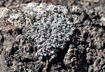 Similar image 2823304