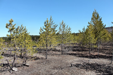 Similar image 2823306