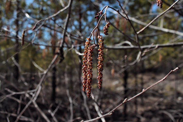 Similar image 2823308