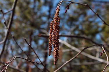 Similar image 2823309