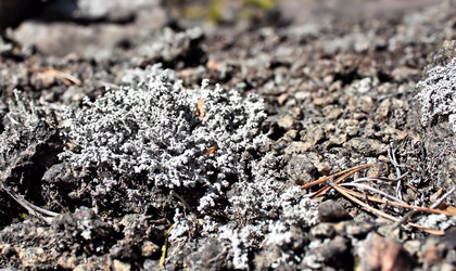 Similar image 2823310