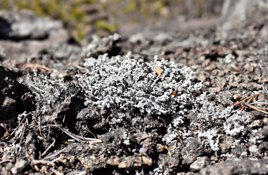 Similar image 2823311