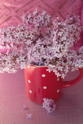 Similar image 2823330