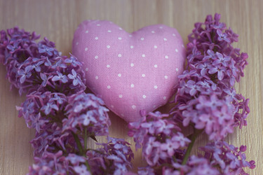 Similar image 2823332