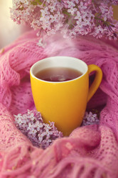 Similar image 2823334