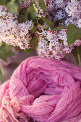 Similar image 2823335