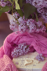 Similar image 2823339