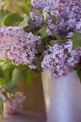 Similar image 2823343