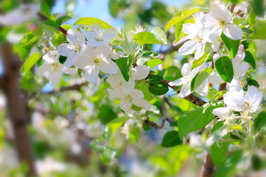 Similar image 2823370