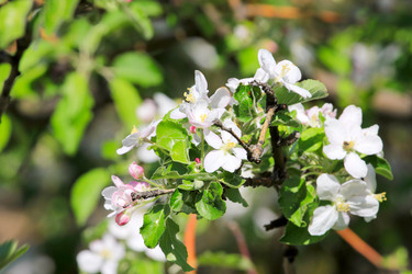 Similar image 2823371