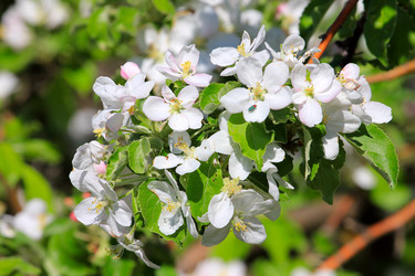 Similar image 2823372