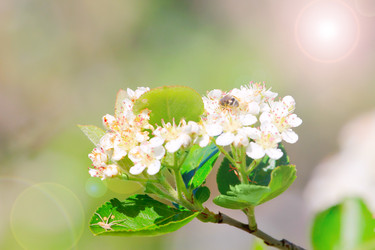 Similar image 2823374