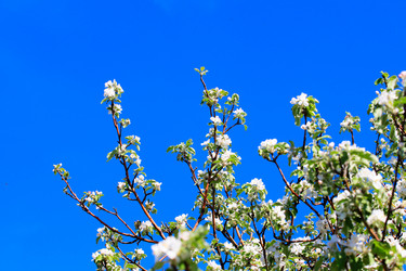 Similar image 2823375