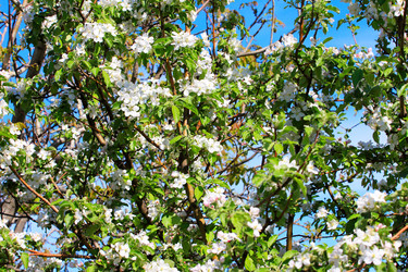 Similar image 2823377