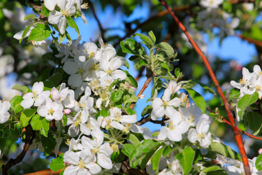 Similar image 2823378