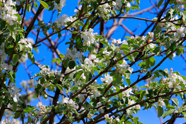 Similar image 2823380