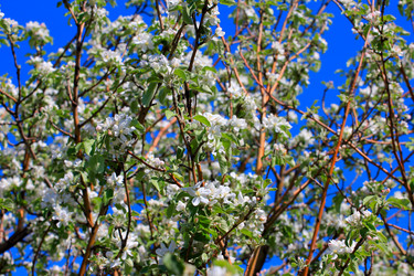 Similar image 2823383