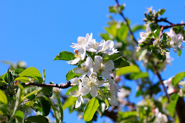 Similar image 2823384