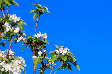 Similar image 2823385