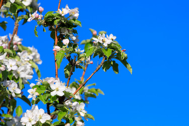 Similar image 2823386