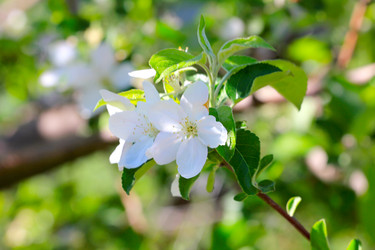 Similar image 2823387