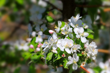 Similar image 2823388