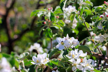 Similar image 2823389