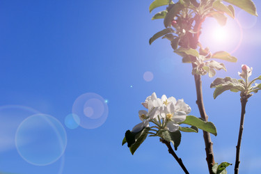 Similar image 2823390