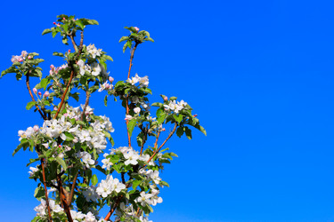 Similar image 2823391