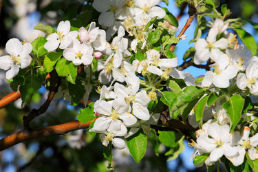 Similar image 2823392