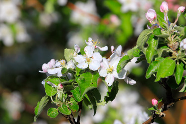 Similar image 2823393