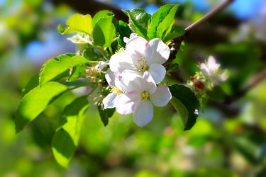 Similar image 2823394