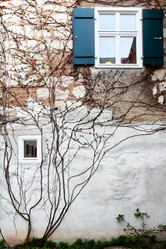 Similar image 2823409