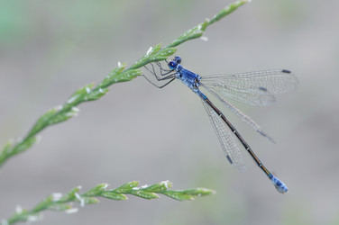 Similar image 2823452