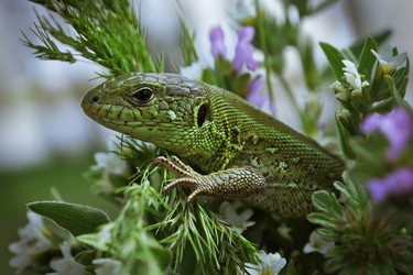 Similar image 2823453