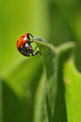 Similar image 2823454