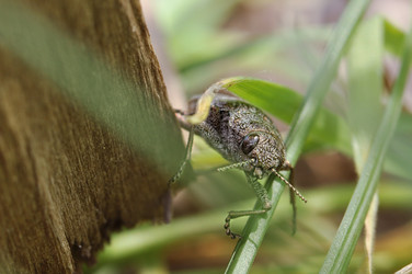 Similar image 2823455