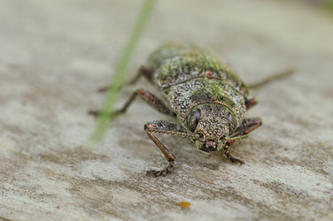 Similar image 2823456