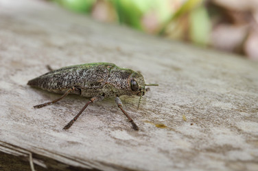 Similar image 2823457