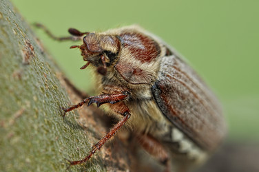 Similar image 2823458