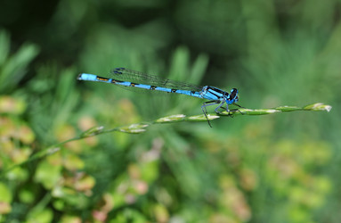 Similar image 2823460