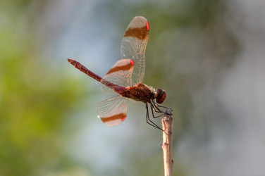 Similar image 2823461