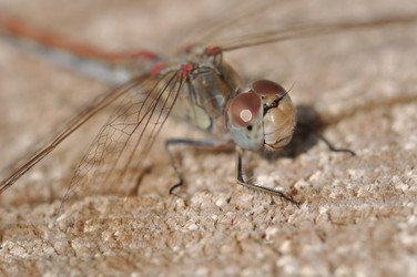 Similar image 2823463