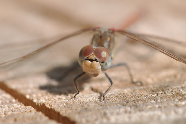 Similar image 2823465