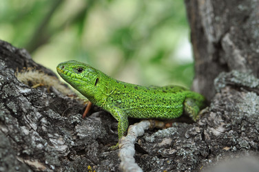 Similar image 2823468