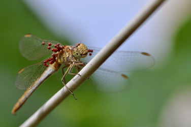 Similar image 2823470