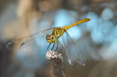 Similar image 2823471