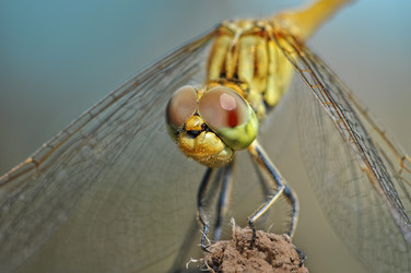 Similar image 2823472