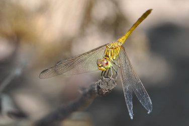 Similar image 2823473