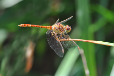 Similar image 2823474